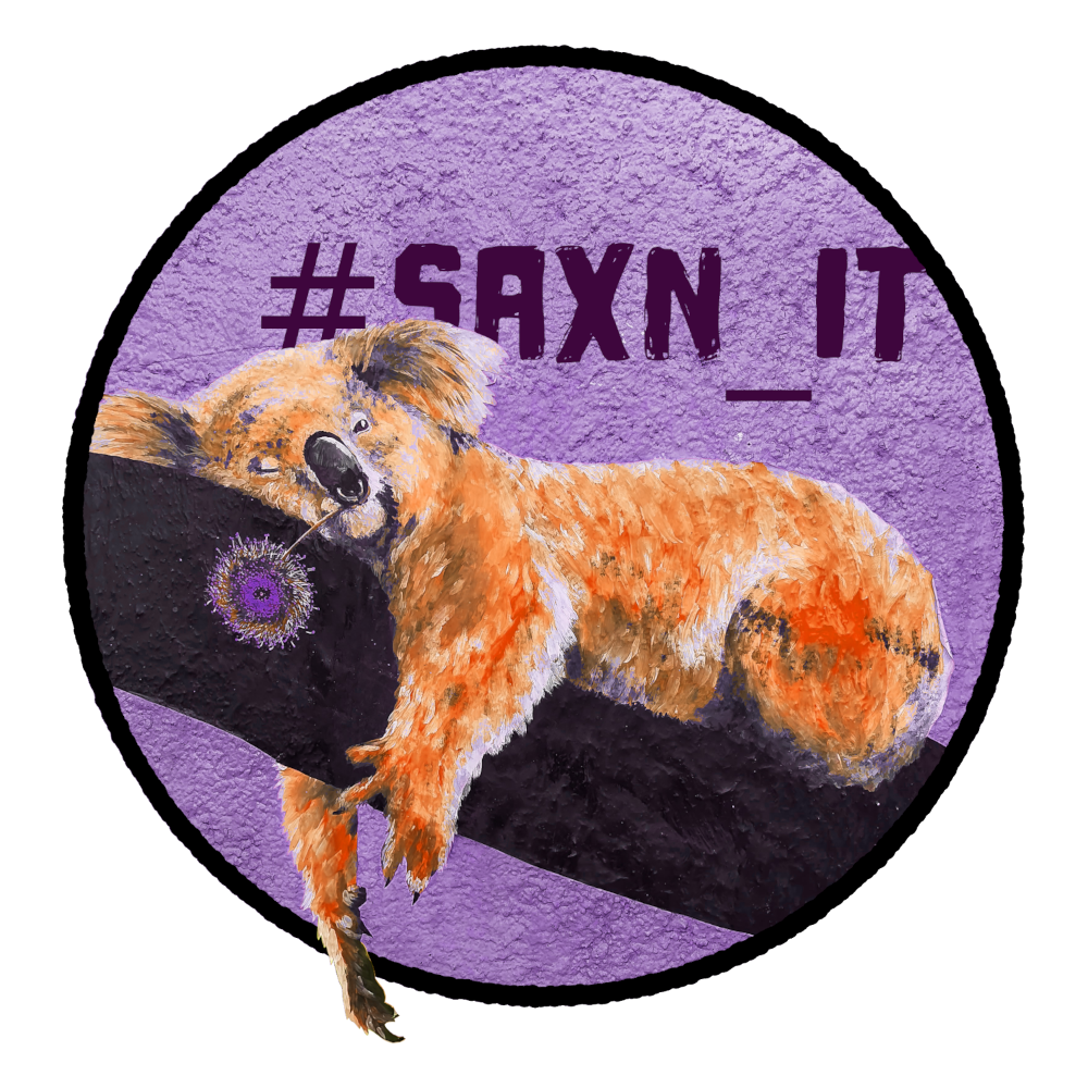 logo_SaxnIT logo_SaxnIT