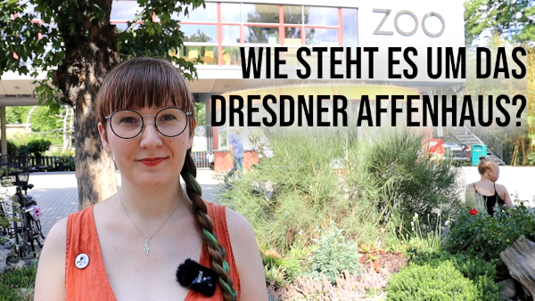 Thumbnail_Orang_Utan_Haus_2022_Piraten_Dresden_Stephanie_Henkel_%C3%9Cck%C3%BCck