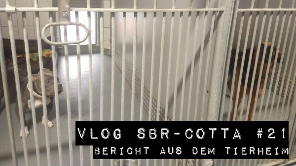 Thumbnail_600